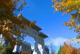 清东陵万佛园牌楼