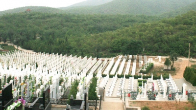 炎黄陵园地势