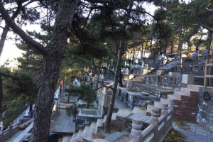 金山陵园开放时间及专车服务指南