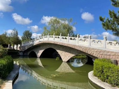 中华永久陵园性质解析：公益与经营模式对比