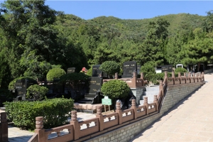 温泉墓园道路