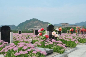 清东陵万佛园交通指南：班车路线与便捷出行攻略