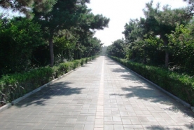 朝阳陵园道路