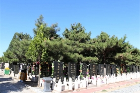 八宝山墓区景观