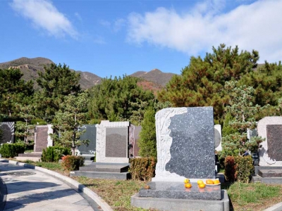 天寿陵园环境评测：实地探访园区景观与生态优势