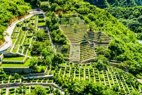 九公山墓区航拍