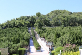 温泉墓园山势