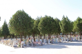 八宝山人民公墓绿化