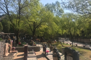 八达岭陵园地址及四季风光全览