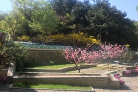 八达岭陵园山坡