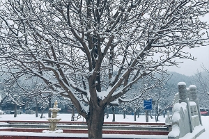 怀柔凤凰山陵园葬式选择及交通指南