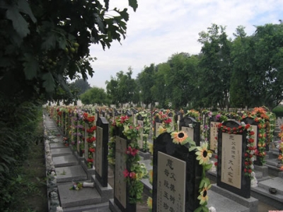 天堂公墓墓型选择指南及交通路线解析