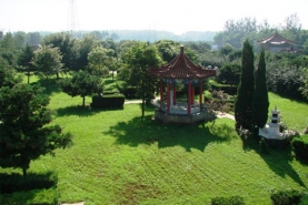 朝阳陵园草坪景色