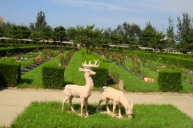 长安园公墓景观