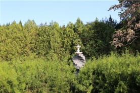 宝云岭公墓景观