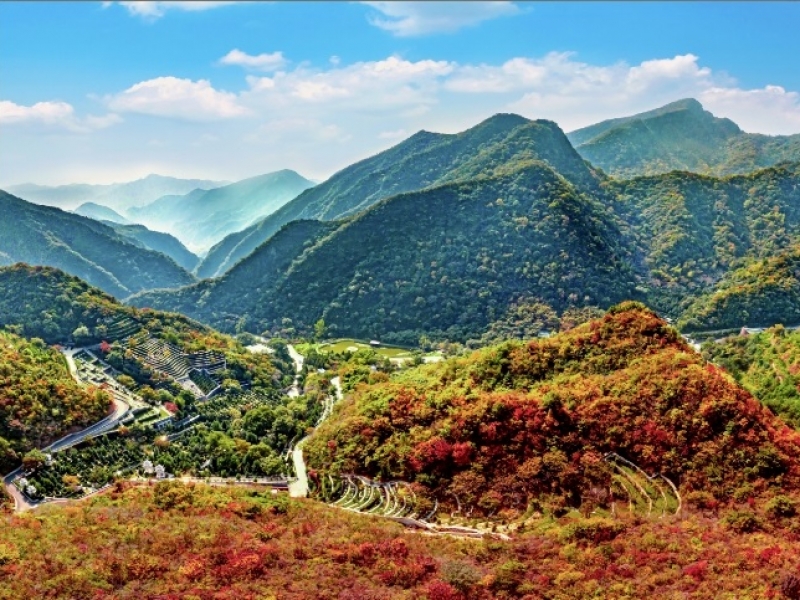 九公山长城纪念林全景