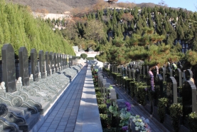 温泉墓园墓区道路