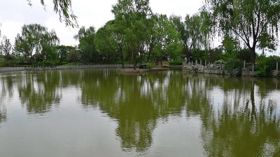 天成湖景色